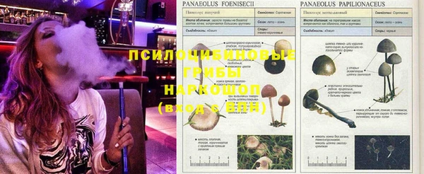 экстази Алексин