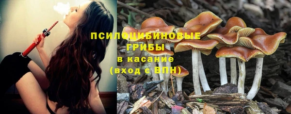 экстази Алексин