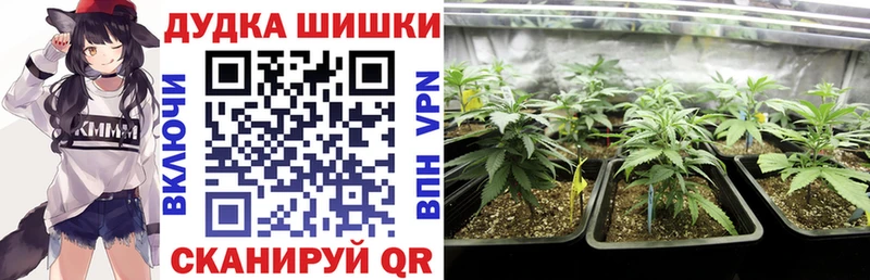 Каннабис ГИДРОПОН  Тихвин 